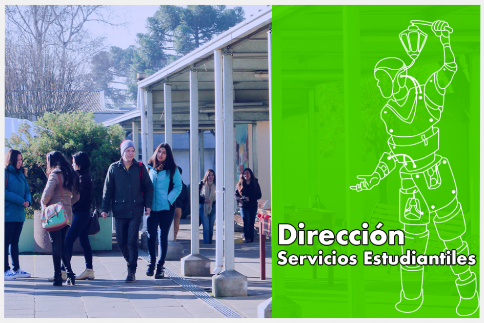 Dirección Servicios Estudiantiles - Universidad De Concepción Campus ...