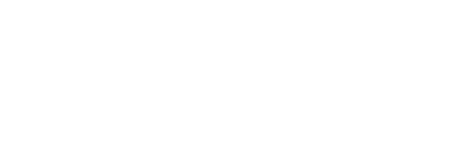 UdeC
