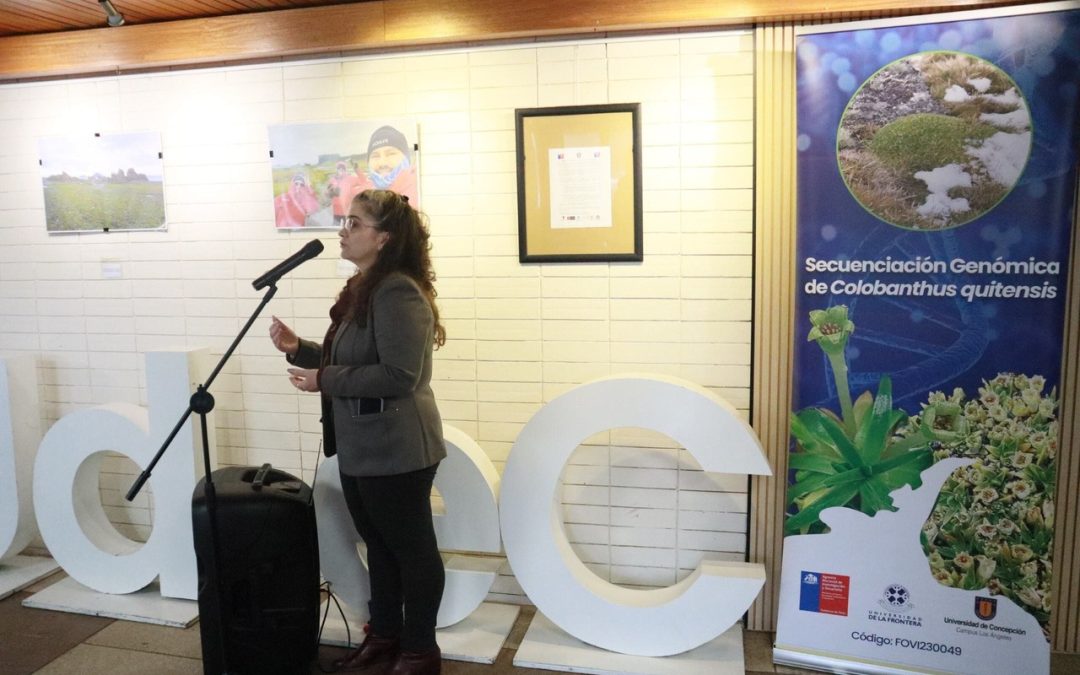 Desde Los Ángeles: Un recorrido fotográfico por los dos últimos años de trabajo ofrece exposición que muestra investigación con plantas de la Antártica