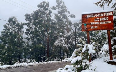 Día de la Educación Rural en Chile: Cómo el Campus Los Ángeles ha aportado profesionales para enseñar en lugares extremos.