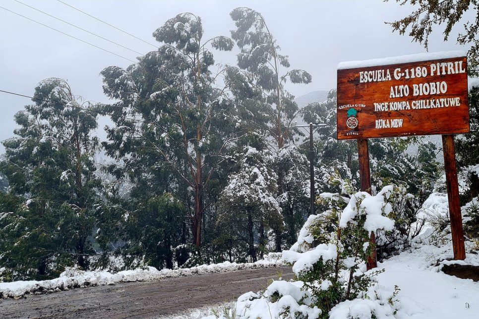 Credito-Escuela-Pitril-Alto-Biobio-966×644