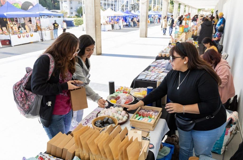 Estudio liderado desde la UdeC identifica factores psicológicos que inciden en el éxito de los emprendimientos
