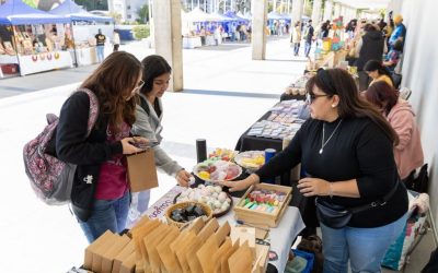 Estudio liderado desde la UdeC identifica factores psicológicos que inciden en el éxito de los emprendimientos