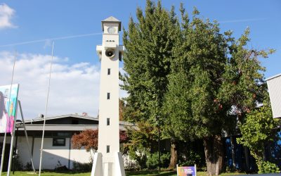 Cerca de 170 árboles y variedad de aves: Inventario de Biodiversidad en Campus Los Ángeles permitió conocer en detalle su entorno.