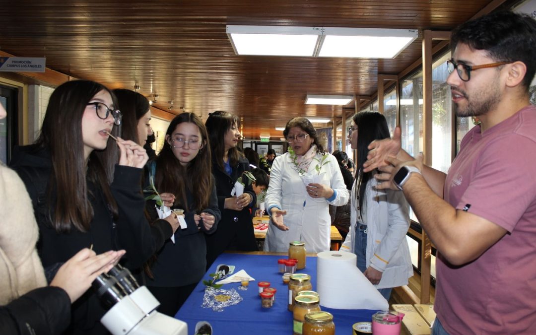 Campus Los Ángeles: Universidad de Concepción celebra el Día Internacional de la Fascinación por las Plantas con actividades para escolares y taller científico sobre especie antártica 