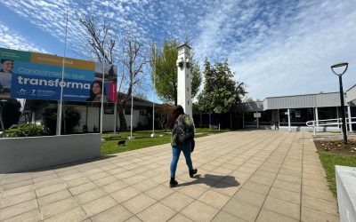 Cinco proyectos VRIM fortalecen la Vinculación con el Medio en el Campus Los Ángeles de la Universidad de Concepción