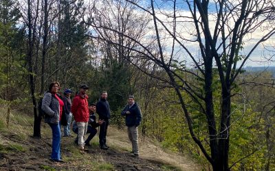 Día internacional de los bosques: El espacio verde que aporta desde la mitigación del cambio climático hasta la conexión con la salud mental.