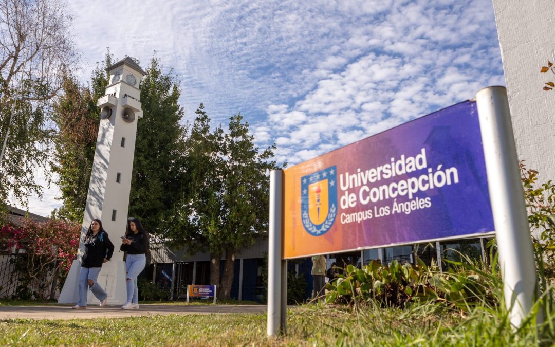 Universidad de Concepción: Campus Los Ángeles Maquena convoca licitaciones clave para su desarrollo