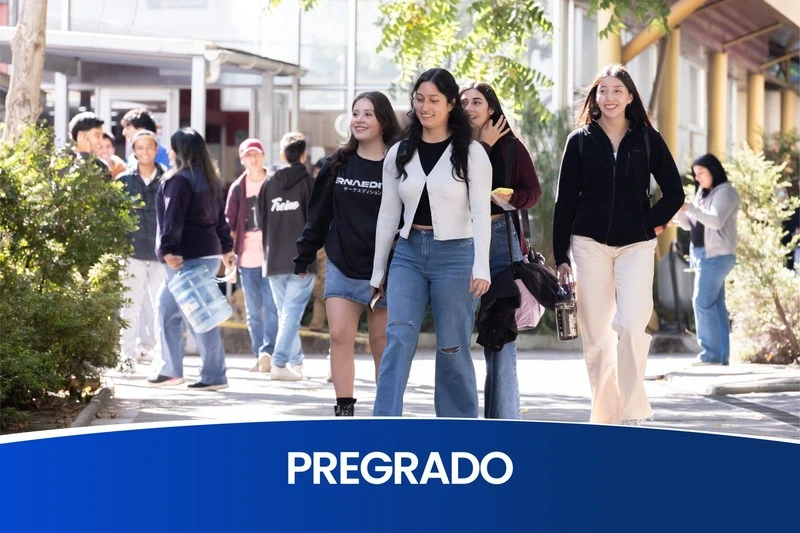 Pregrado