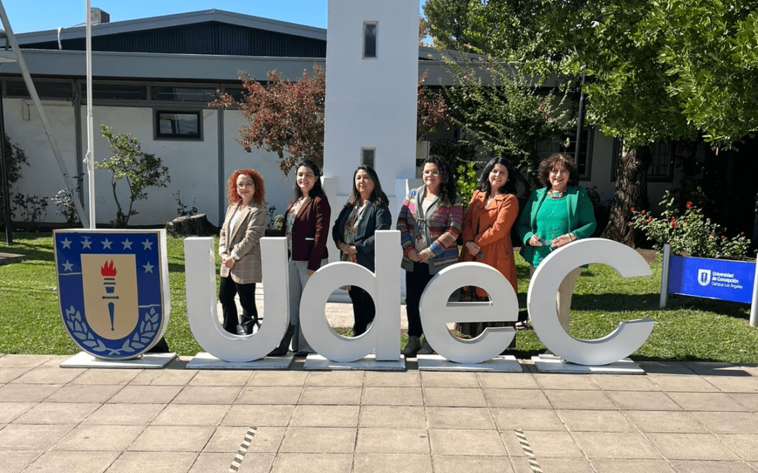 Concurso VRID Investigadoras adjudicó iniciativa del Campus Los Ángeles que busca mejorar el bienestar docente y la calidad educativa