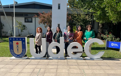 Concurso VRID Investigadoras adjudicó iniciativa del Campus Los Ángeles que busca mejorar el bienestar docente y la calidad educativa