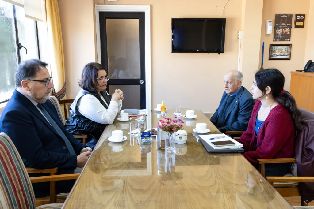 En Concepción la comisión la integran el Director de Docencia, Oscar Nail; la Directora de la DISE, Pilar López; el académico de la Facultad de Ciencias Sociales, Bernardo Castro; y la Secretaria de Finanzas de la Federación de Estudiantes de la Universidad de Concepción (FEC), Ilwen Ñancupil.