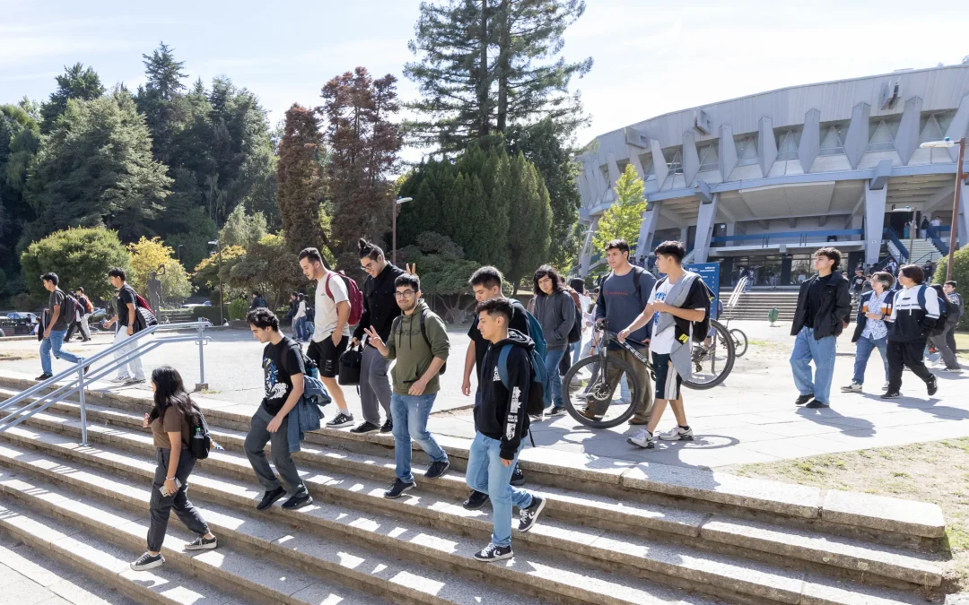 UdeC activa encuestas para actualizar la mirada sobre satisfacción, empleabilidad y experiencia universitaria
